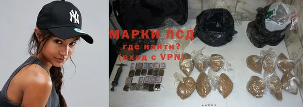 гидропоника Горнозаводск