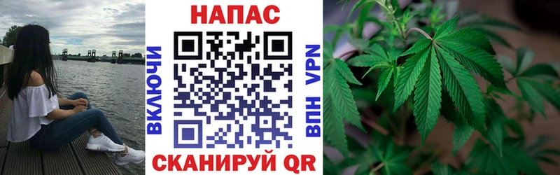 Конопля Bruce Banner  Купить закладки  Плавск 